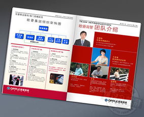 古鎮燈飾畫冊與廣告設計 專業代理服務助您點亮品牌